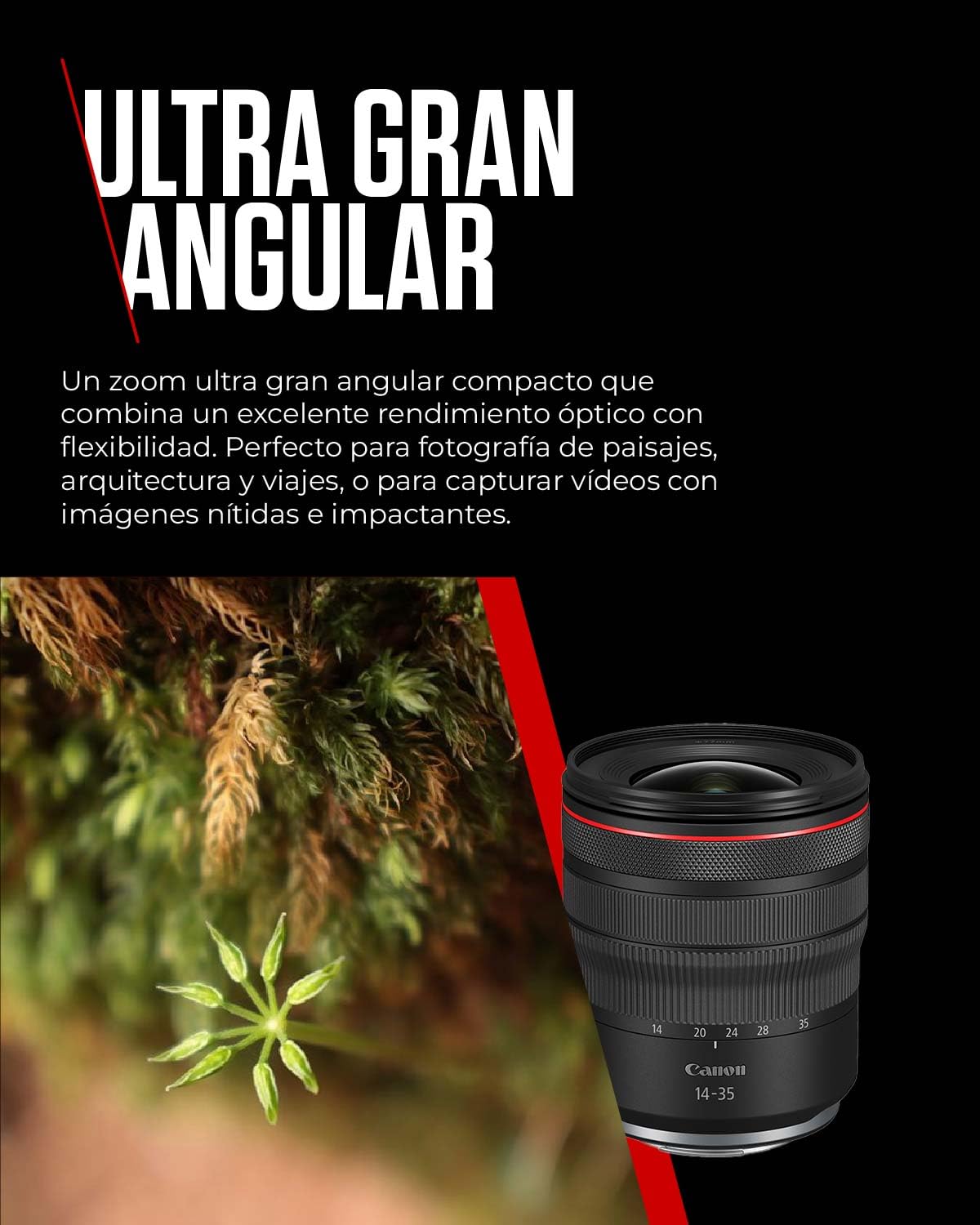 Amazon | Canon RF14-35mm F4 L IS USM 広角ズームレンズ キヤノン